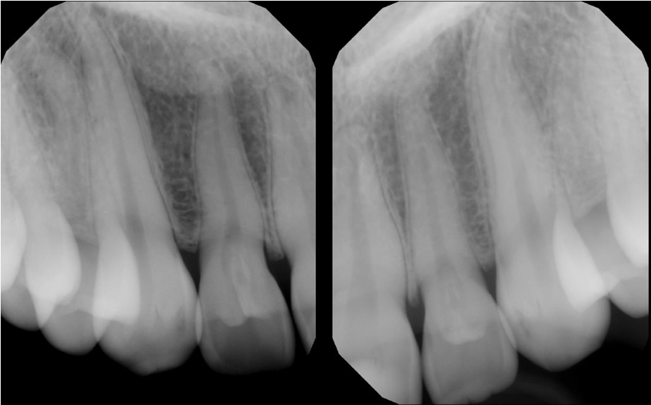 Radiology Case 2 Image 1